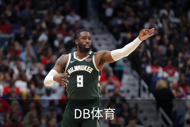 DB体育公司介绍图片